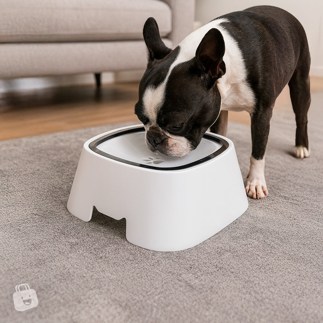 Bebedero Antiderrame Pro