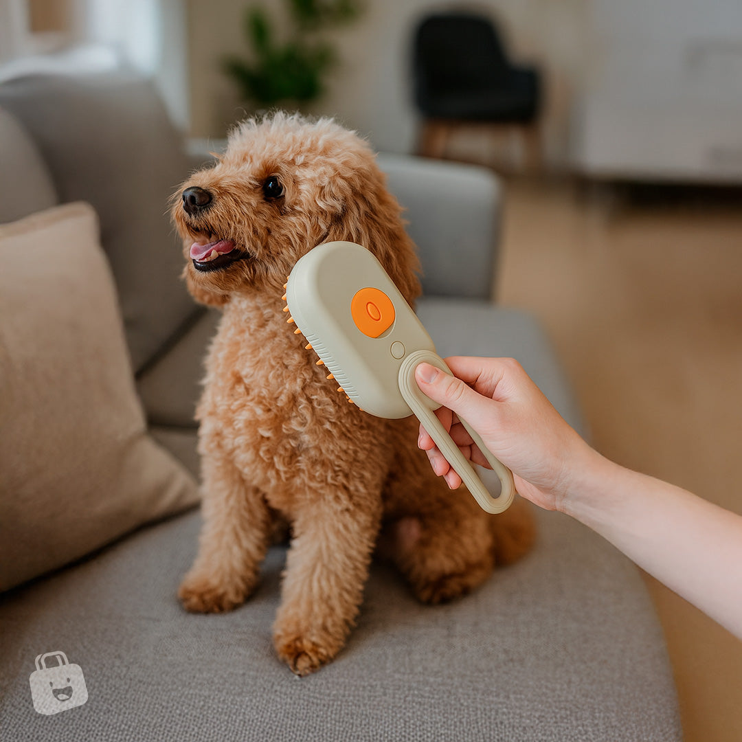 Cepillo Vaporizador con Agarre