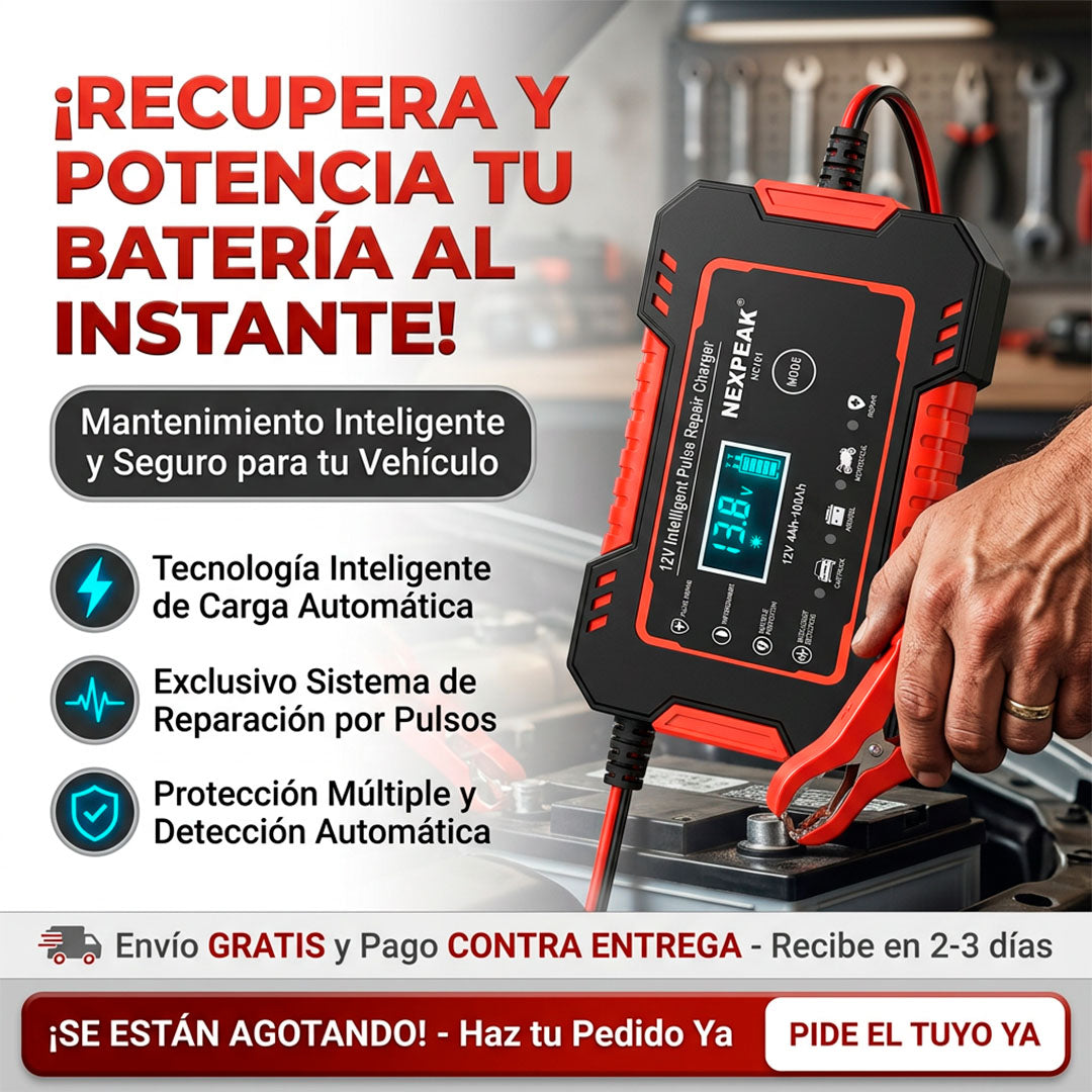 Cargador de bateria para vehiculos