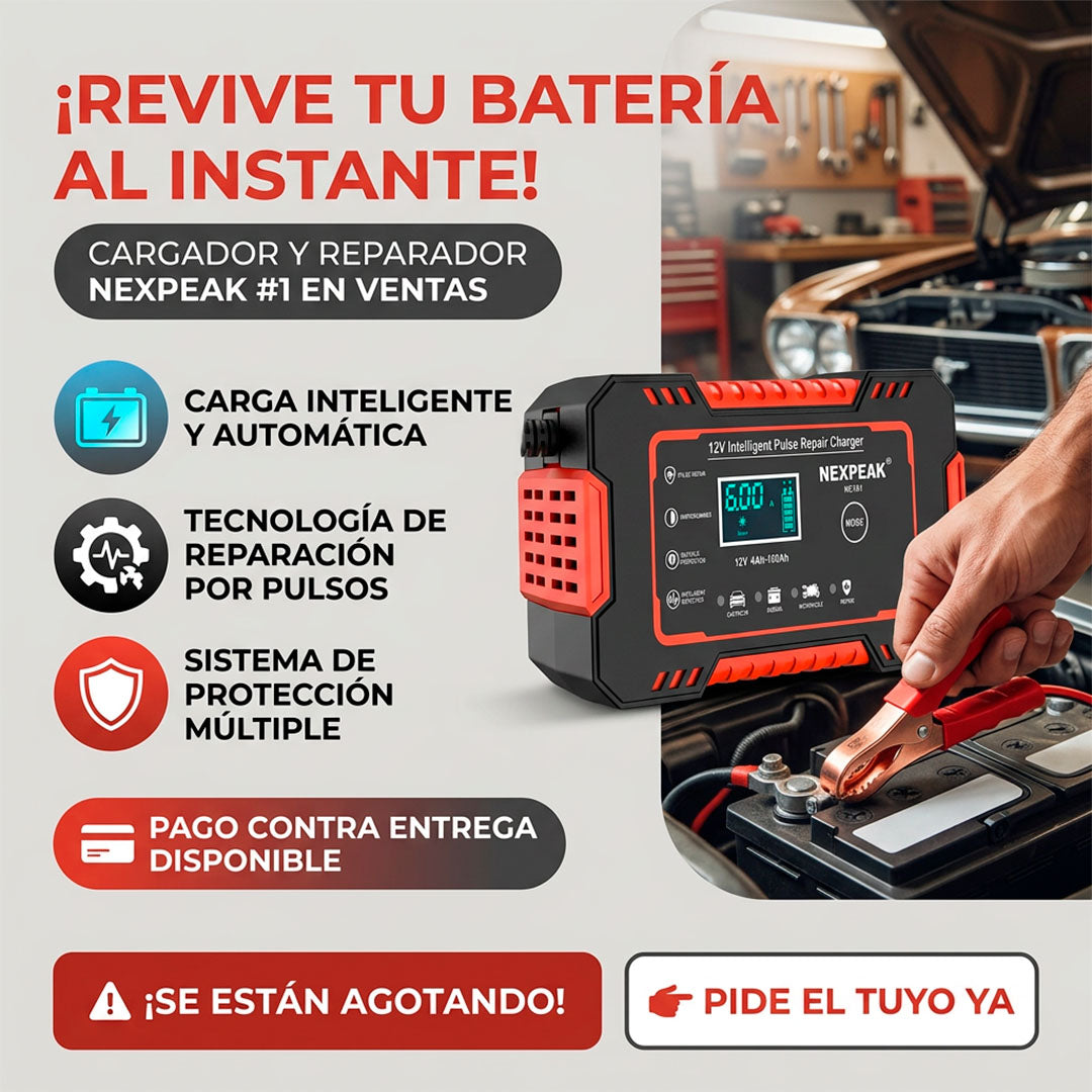 Cargador de bateria para vehiculos
