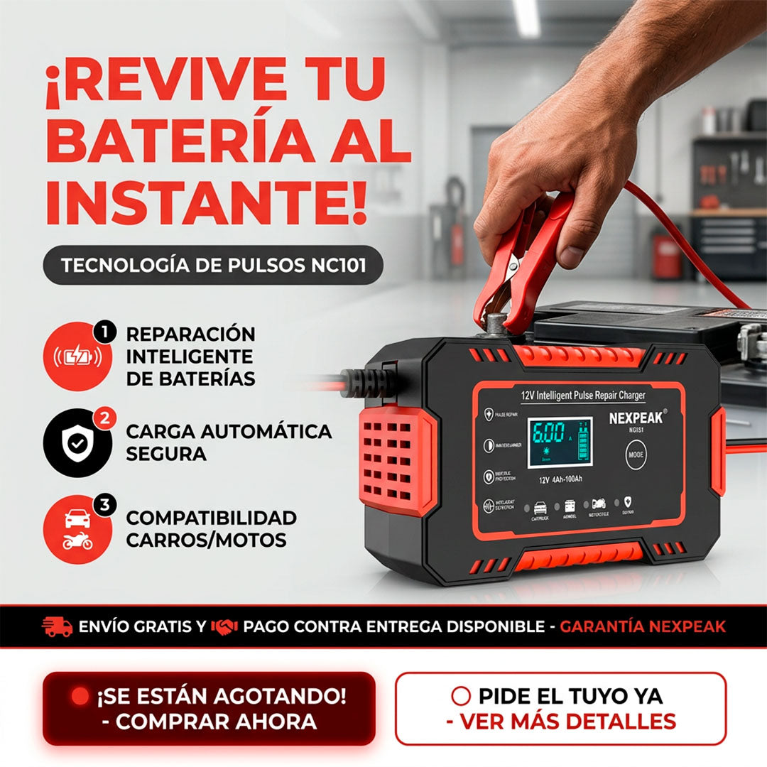 Cargador de bateria para vehiculos