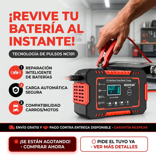 Cargador de bateria para vehiculos