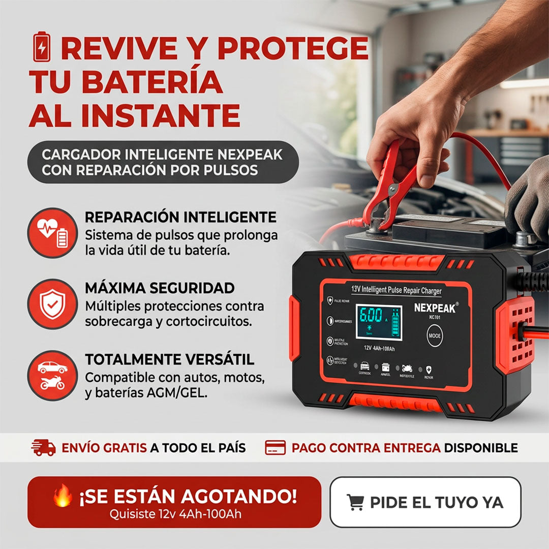 Cargador de bateria para vehiculos