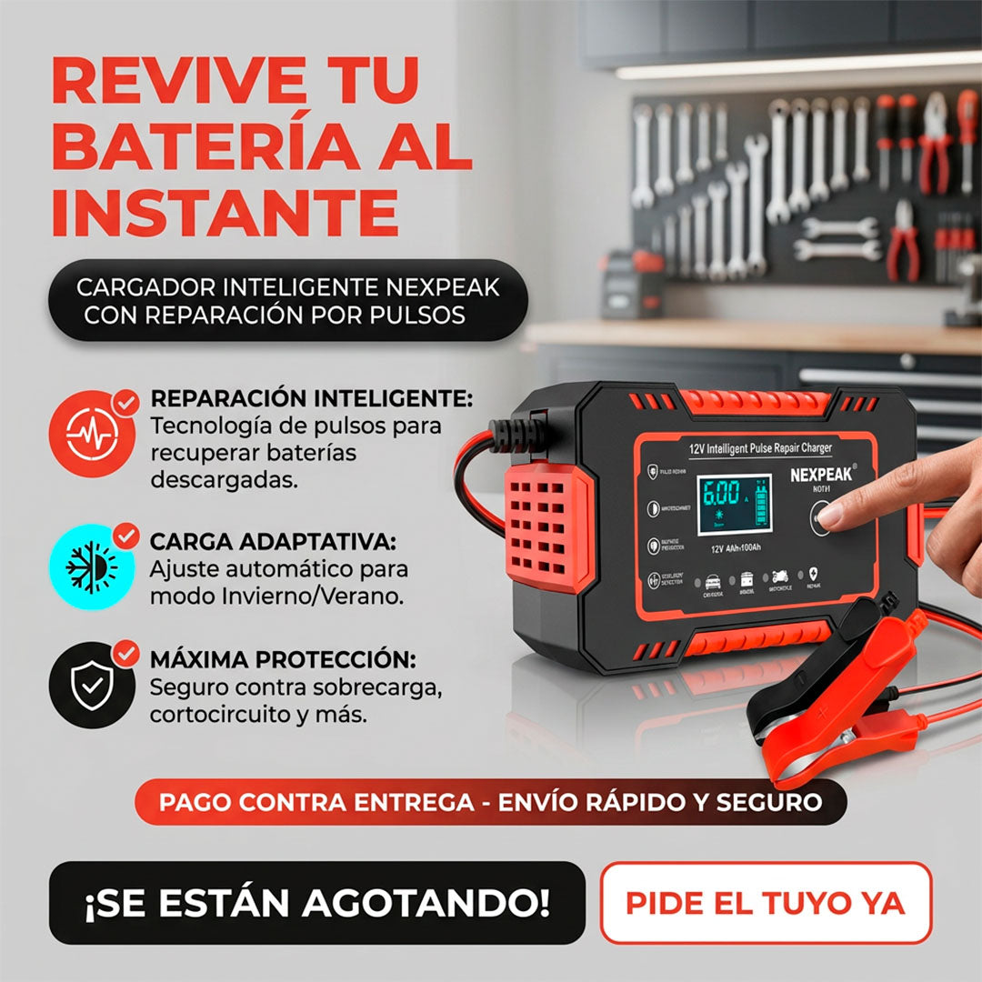 Cargador de bateria para vehiculos
