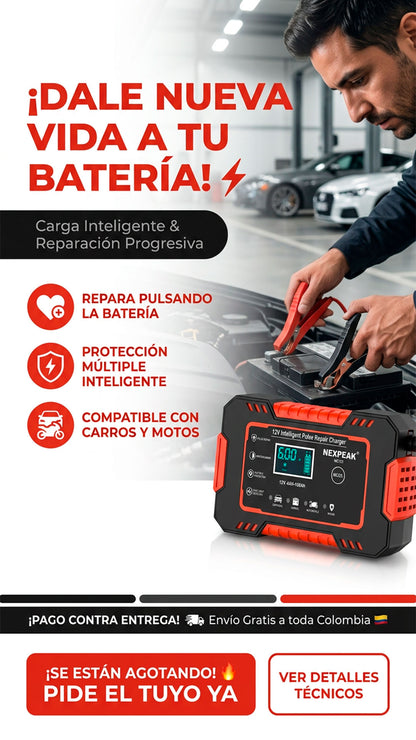 Cargador de bateria para vehiculos