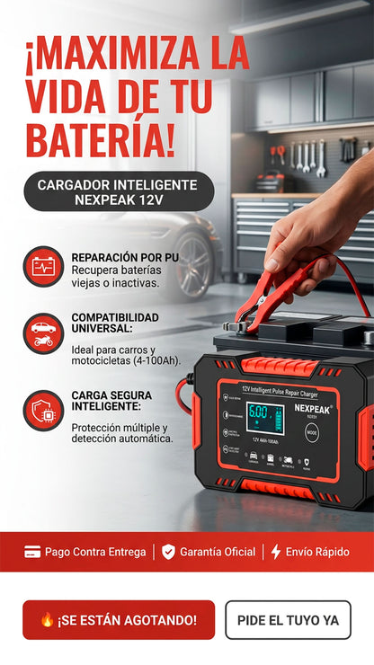 Cargador de bateria para vehiculos