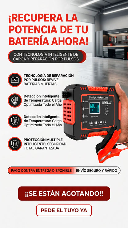 Cargador de bateria para vehiculos