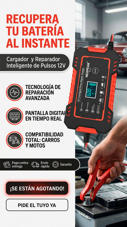 Cargador de bateria para vehiculos