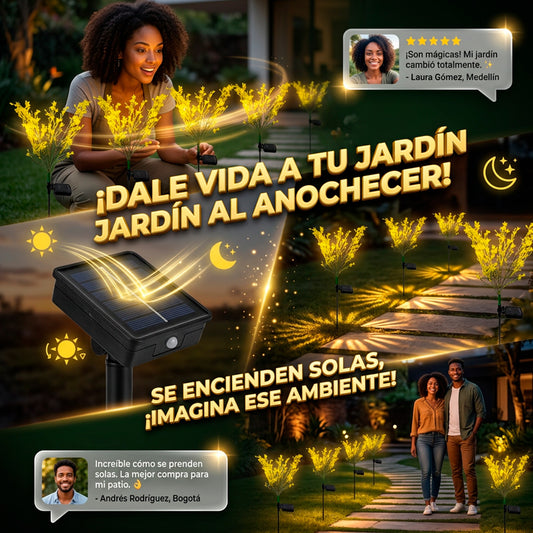 Flor de jardin solar