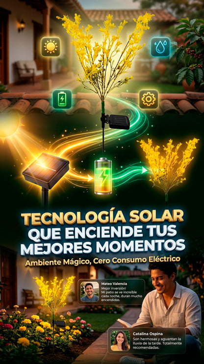 Flor de jardin solar